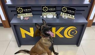 Uşak&rsquo;ta uyuşturucu operasyonu: 8 tutuklama