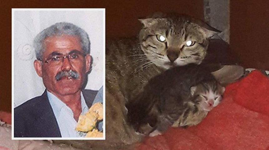 Böyle vahşet görülmedi! Yavru kediyi parçaladı, sebebi şoke etti