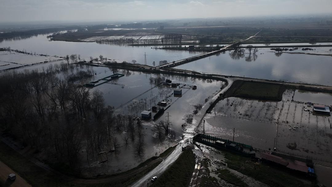 Meri&ccedil; nehri taştı! Mahsur kalan hayvanlar b&ouml;yle kurtarıldı 4