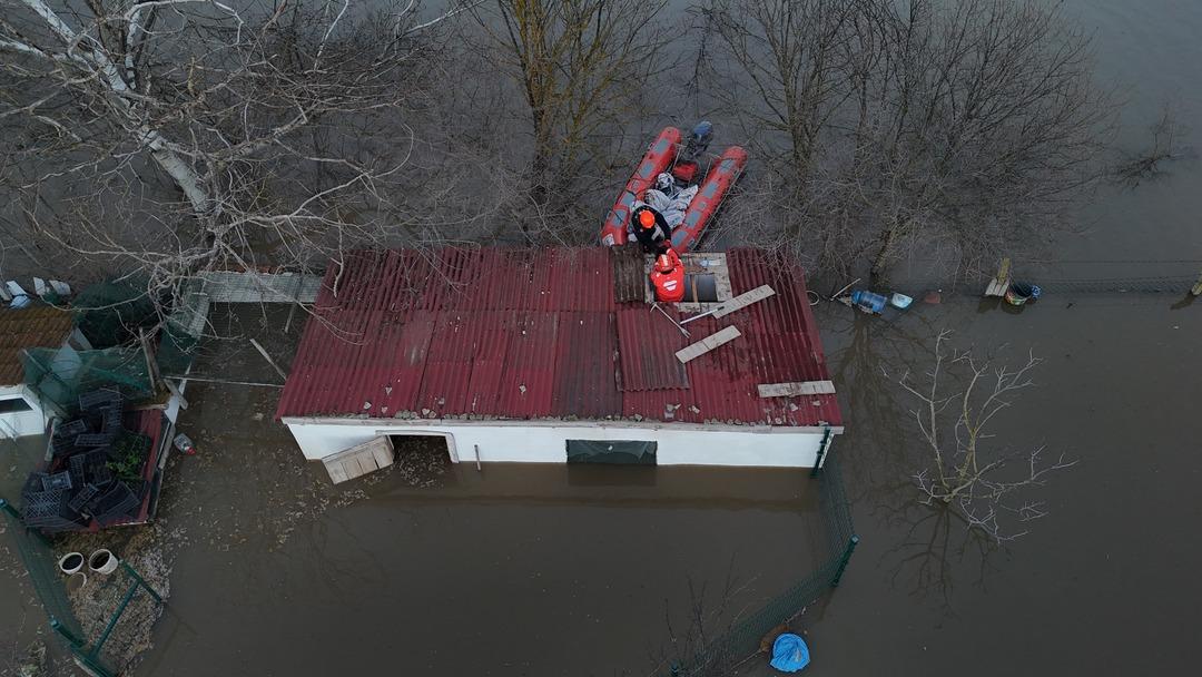 Meri&ccedil; nehri taştı! Mahsur kalan hayvanlar b&ouml;yle kurtarıldı 10