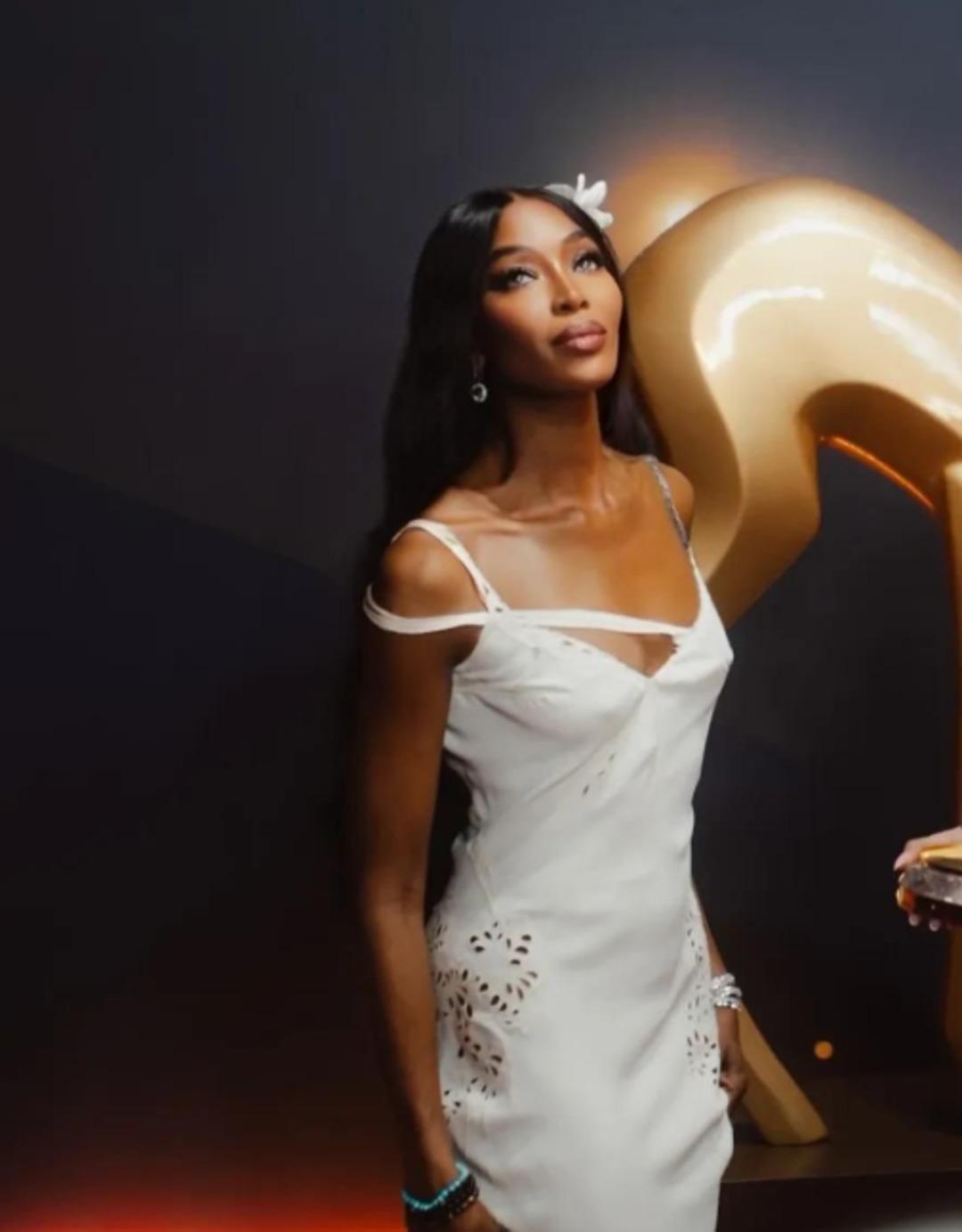 Naomi Campbell&rsquo;ın Epstein bağlantısı belgelerde: Moda partilerine &ccedil;ağırmış 3