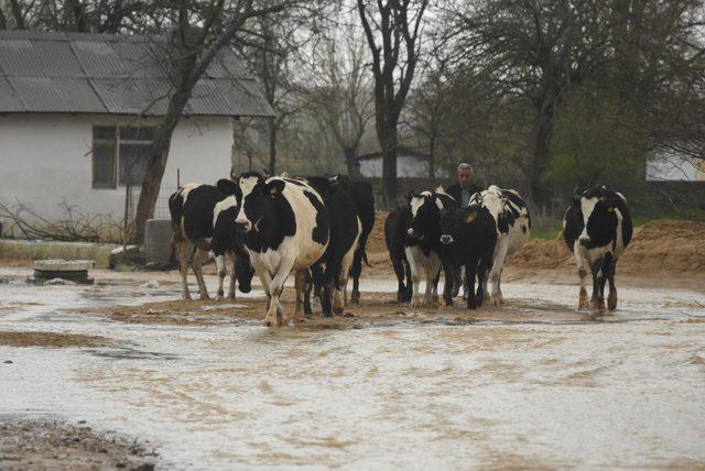 Edirne'de aşırı yağışlar su baskınlarına neden oldu