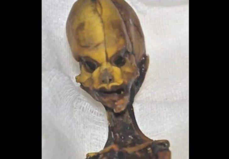 Atacama Çölü'nde bulunan 'uzaylı iskeletinin' sırrı çözüldü G2