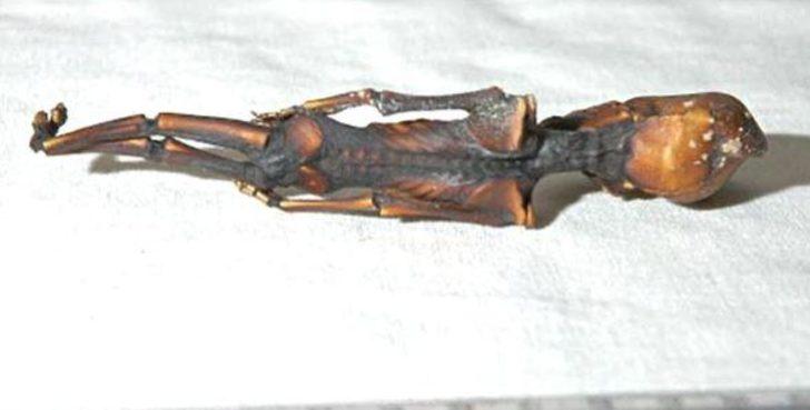 Atacama Çölü'nde bulunan 'uzaylı iskeletinin' sırrı çözüldü G3