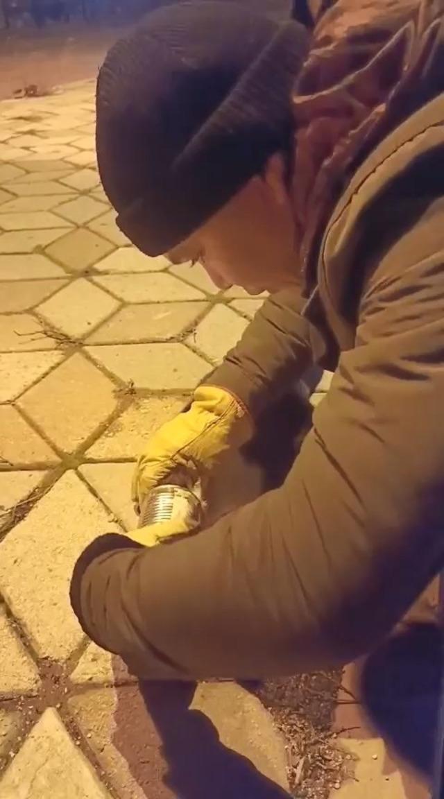 Başına konserve sıkışan kedi kurtarıldı 2