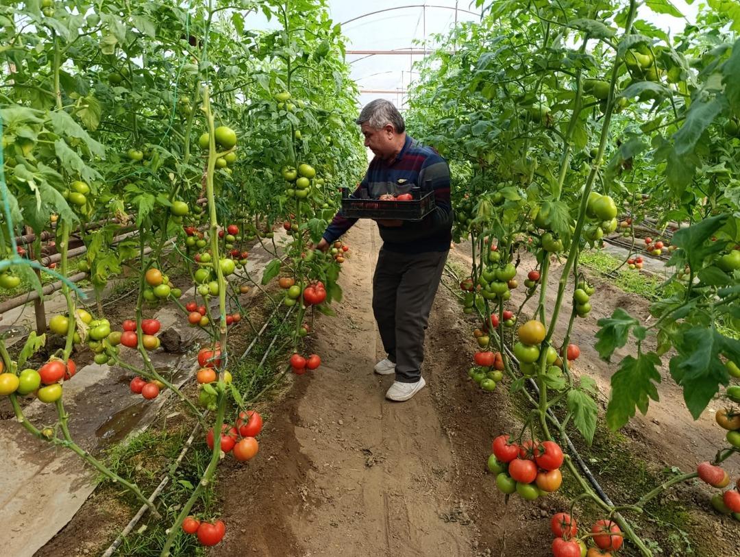 Yoğun talep g&ouml;r&uuml;yor  İyi kazanıyoruz  Sırrı yer altında 1