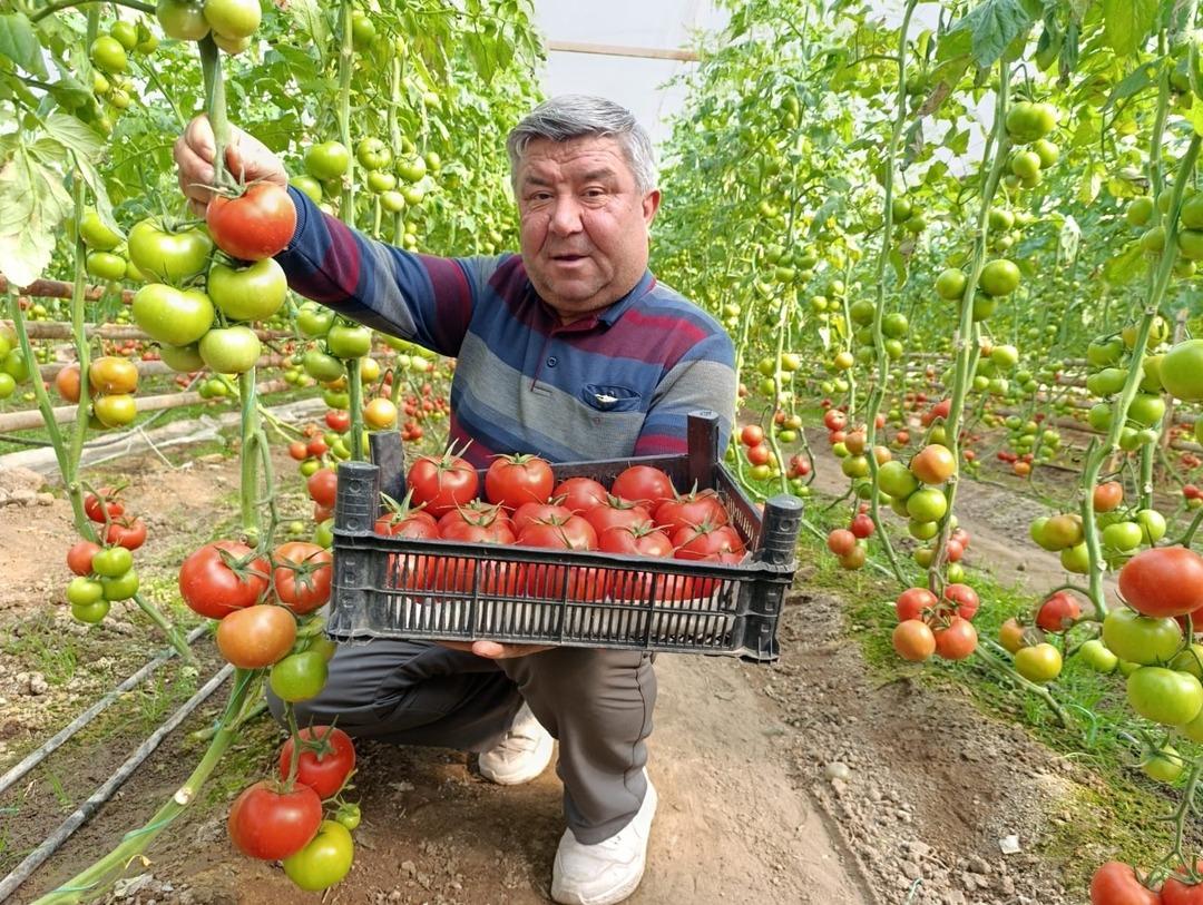Yoğun talep g&ouml;r&uuml;yor  İyi kazanıyoruz  Sırrı yer altında 4
