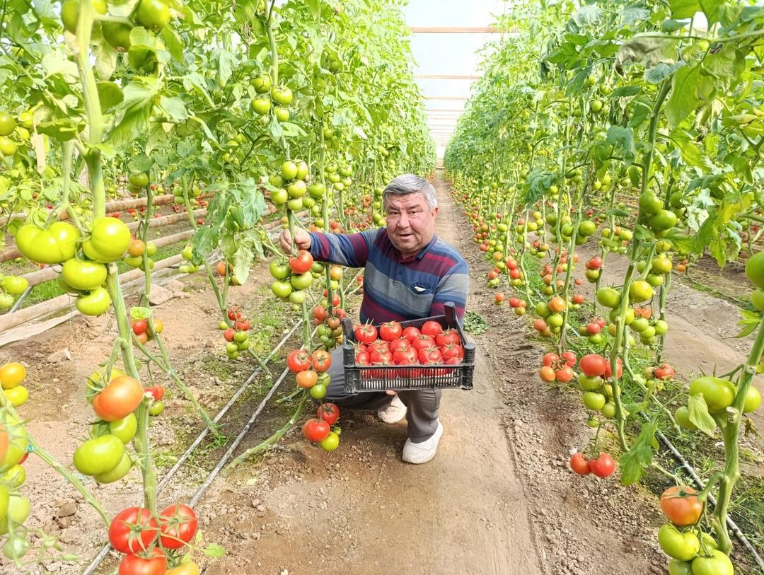 Yoğun talep g&ouml;r&uuml;yor  İyi kazanıyoruz  Sırrı yer altında 6
