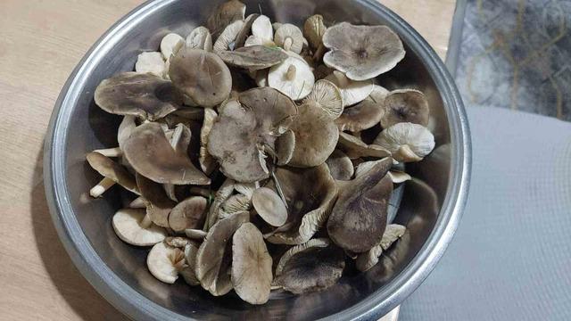 Sarıg&ouml;l&rsquo;de ağa&ccedil;lar &ccedil;i&ccedil;ek a&ccedil;tı, dağlar mantar doldu 2