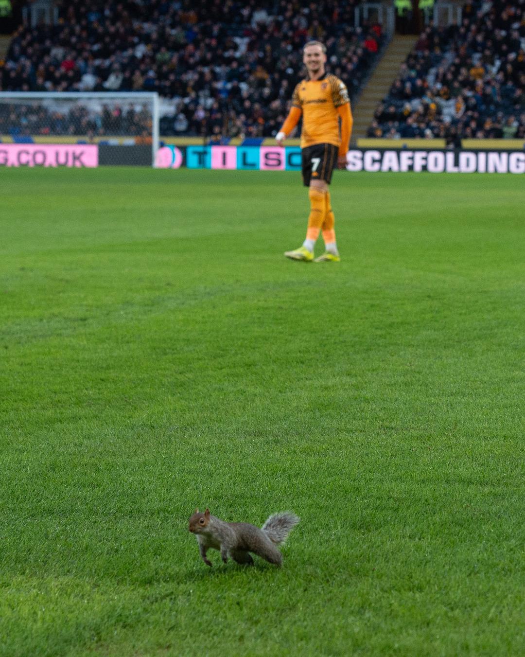 Ma&ccedil; durdu: Taraftar tezah&uuml;rat yağmuruna tuttu! Sahada sincap paniği 1