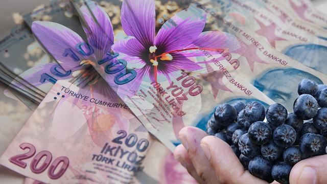 Buğdayı unutun, servet kapıda! 2026&rsquo;nın en &ccedil;ok kazandıran 5 gizli bitkisi