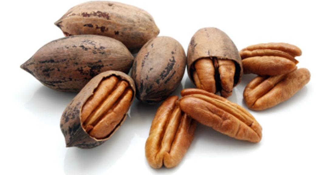 Buğdayı unutun, servet kapıda! 2026&rsquo;nın en &ccedil;ok kazandıran 5 gizli bitkisi 3