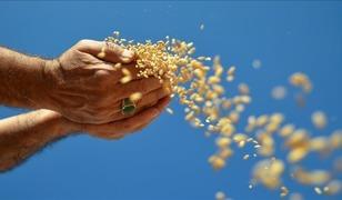 İhracatı Ocak'ta 1 milyar dolara yaklaştı '&Ouml;nemli fırsatlar yaratabilir'