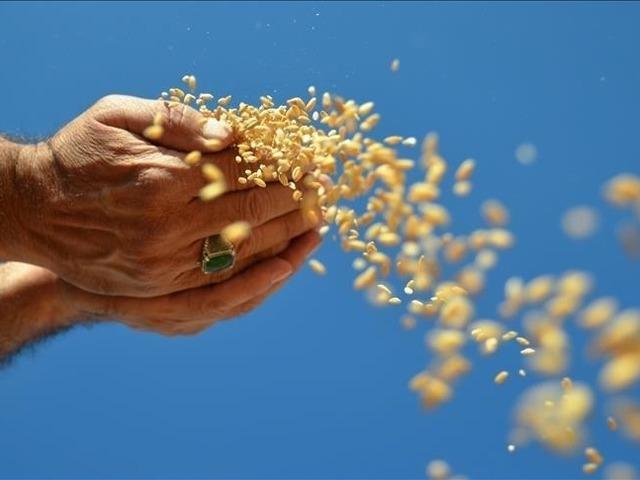 İhracatı Ocak'ta 1 milyar dolara yaklaştı '&Ouml;nemli fırsatlar yaratabilir'