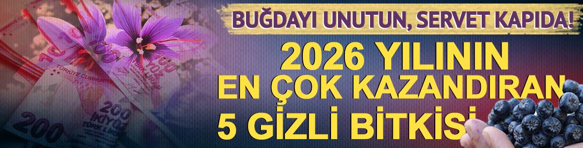 Buğdayı unutun, servet kapıda! 2026&rsquo;nın en &ccedil;ok kazandıran 5 gizli bitkisi