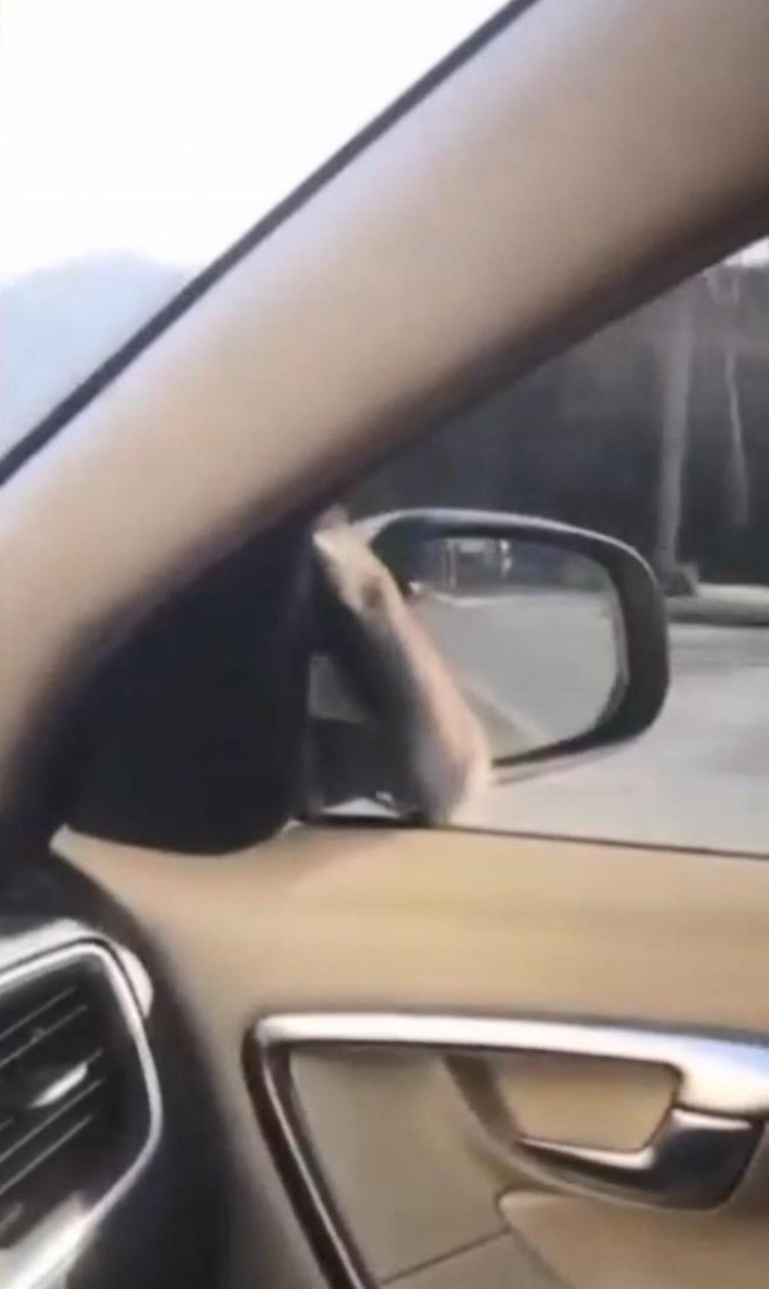 &Ouml;n camda g&ouml;r&uuml;nce panikledi: &Ccedil;&ouml;z&uuml;m&uuml; polis &ccedil;evirmesinde durmakta buldu 4