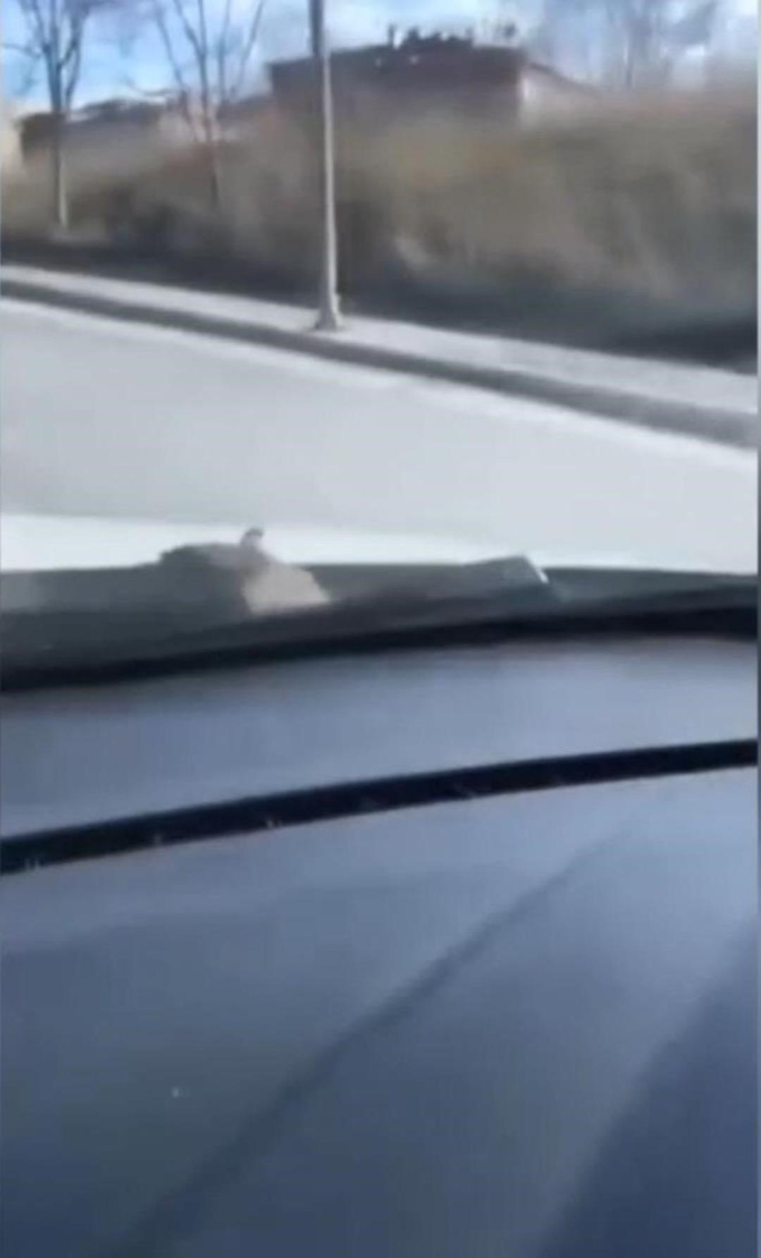 &Ouml;n camda g&ouml;r&uuml;nce panikledi: &Ccedil;&ouml;z&uuml;m&uuml; polis &ccedil;evirmesinde durmakta buldu 2