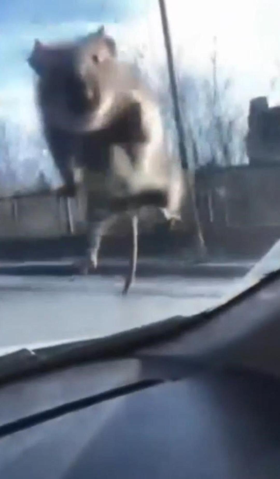 &Ouml;n camda g&ouml;r&uuml;nce panikledi: &Ccedil;&ouml;z&uuml;m&uuml; polis &ccedil;evirmesinde durmakta buldu 1