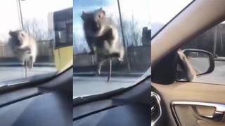 Ön camda görünce panikledi: Çözümü polis çevirmesinde durmakta buldu