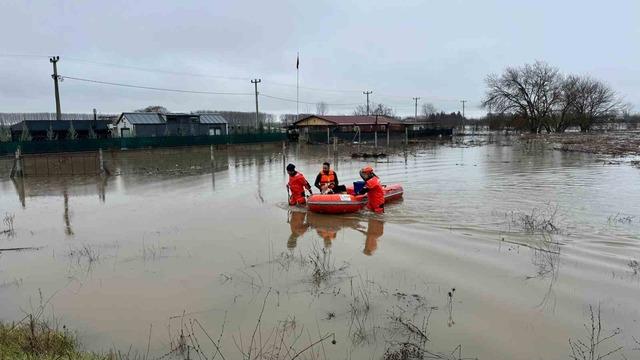 AFAD mahsur kalan hayvanları tahliye ediyor 1