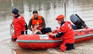 AFAD mahsur kalan hayvanları tahliye ediyor