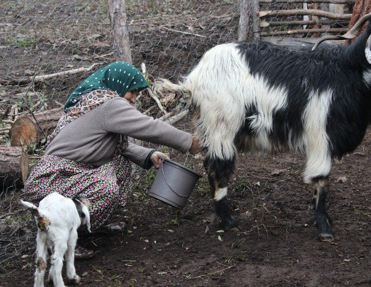  34 yıldır ormanda yaşıyorlar G1