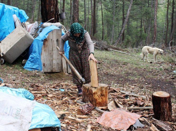  34 yıldır ormanda yaşıyorlar G2