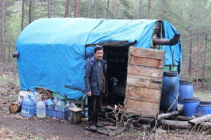  34 yıldır ormanda yaşıyorlar G4
