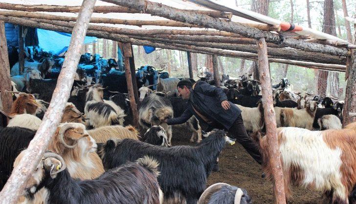  34 yıldır ormanda yaşıyorlar G5