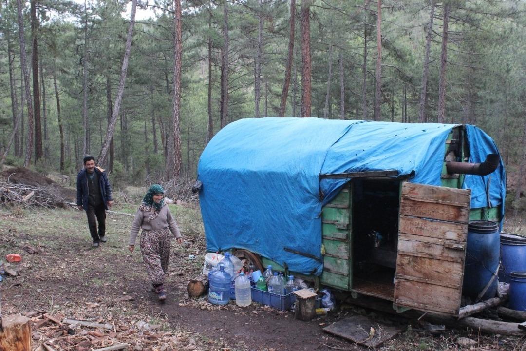  34 yıldır ormanda yaşıyorlar