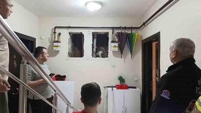 Küçük Yaser Kaan’ın dikkati kediyi kurtardı