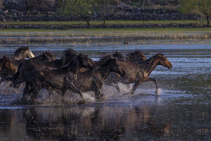 Duyan koştu! Türkiye'nin dört bir yanından akın akın oraya geldiler G3