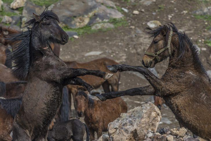 Duyan koştu! Türkiye'nin dört bir yanından akın akın oraya geldiler G4