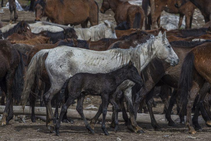 Duyan koştu! Türkiye'nin dört bir yanından akın akın oraya geldiler G5
