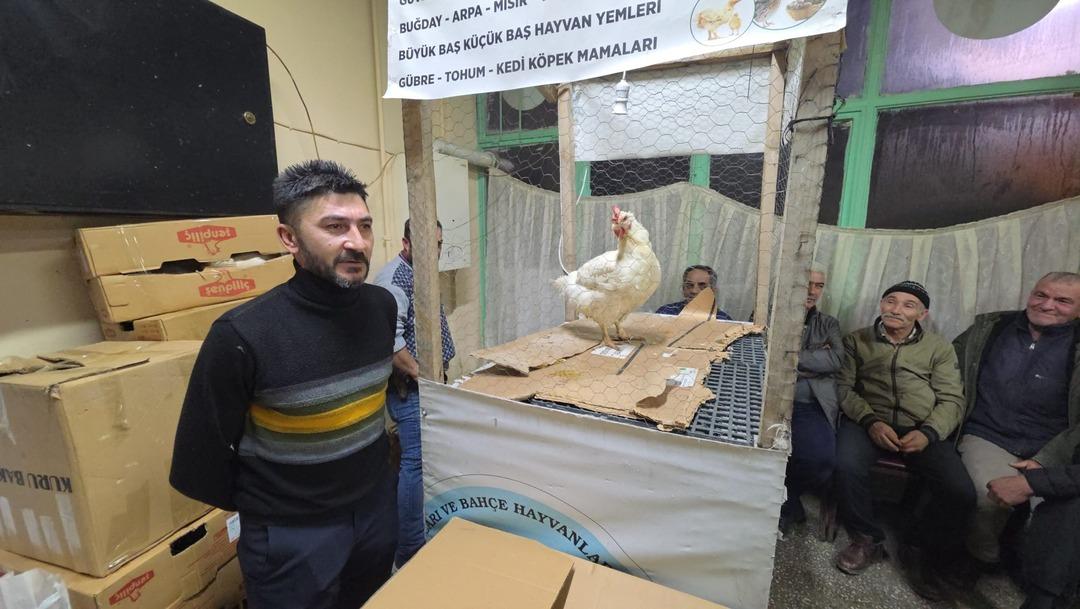Bu mezad farklı: S&uuml;s tavukları a&ccedil;ık artırmayla satıldı! &Ccedil;evre iller akın etti 4