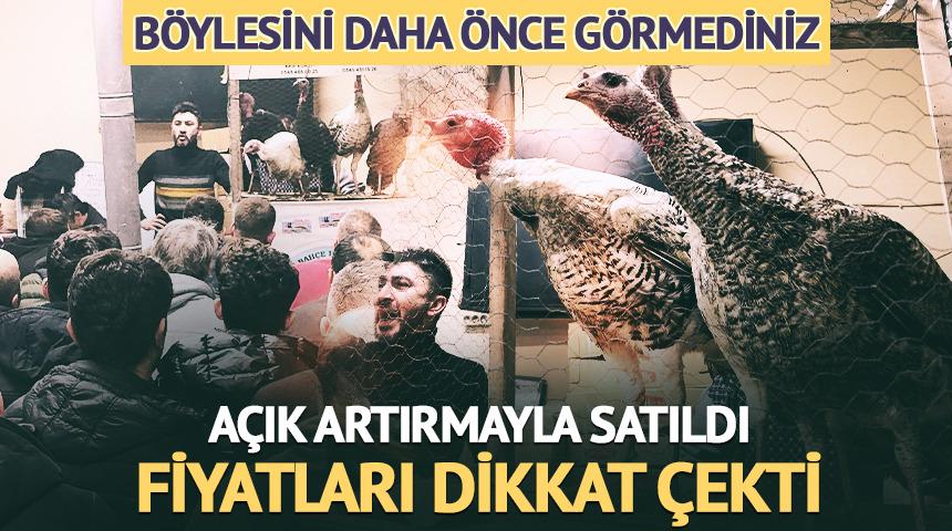 Bu mezad farklı: S&uuml;s tavukları a&ccedil;ık artırmayla satıldı
