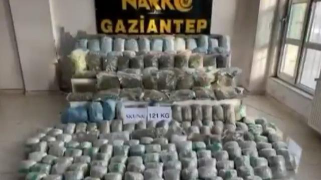Gaziantep’te 121 kilo skunk ele geçirildi: 1 şahıs tutuklandı
