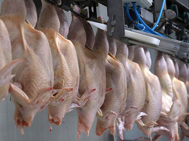 Ticaret Bakanlığı duyurdu! Haksız fiyat artışları sonrası kanatlı eti ihracatı durduruldu