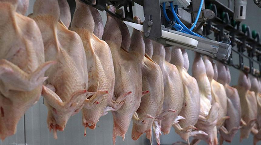 Ticaret Bakanlığı duyurdu! Haksız fiyat artışları sonrası kanatlı eti ihracatı durduruldu