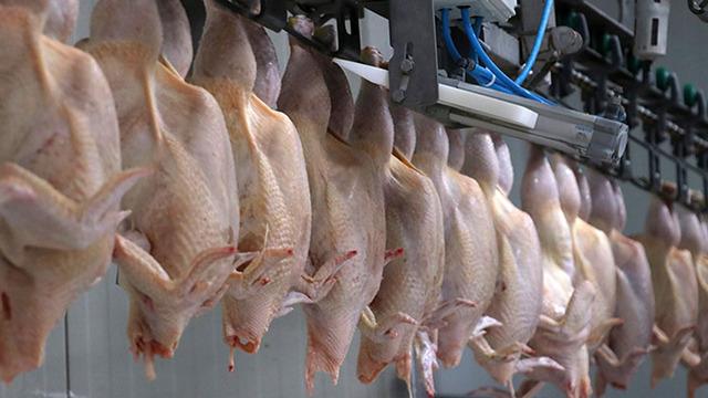 Ticaret Bakanlığı duyurdu! Haksız fiyat artışları sonrası kanatlı eti ihracatı durduruldu