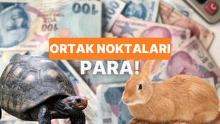 Para Karakterin Hangisi: Garantici Kaplumbağa mı, Risk Alan Tavşan mı?