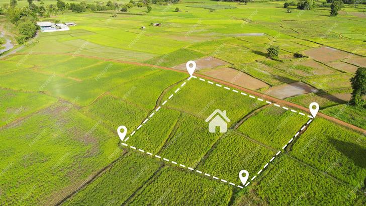 Bir arkadaşın "Gel şu arsayı alalım, 20 sene sonra buralar değerlenir, emeklilikte rahat ederiz." dedi. B&ouml;yle bir işe girişir misin?