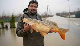 Meri&ccedil; Nehri&rsquo;nin taşmasıyla bazı vatandaşlar tarlasında canlı sazan balığı yakaladı