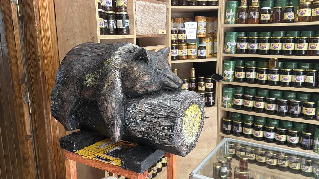 Satışları katlayan boz ayı:  Deli balı  fazla t&uuml;ketip bayılmış, viral olmuştu 1