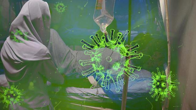 Nipah virüsü can aldı! Ölümcül salgın için alarm verildi