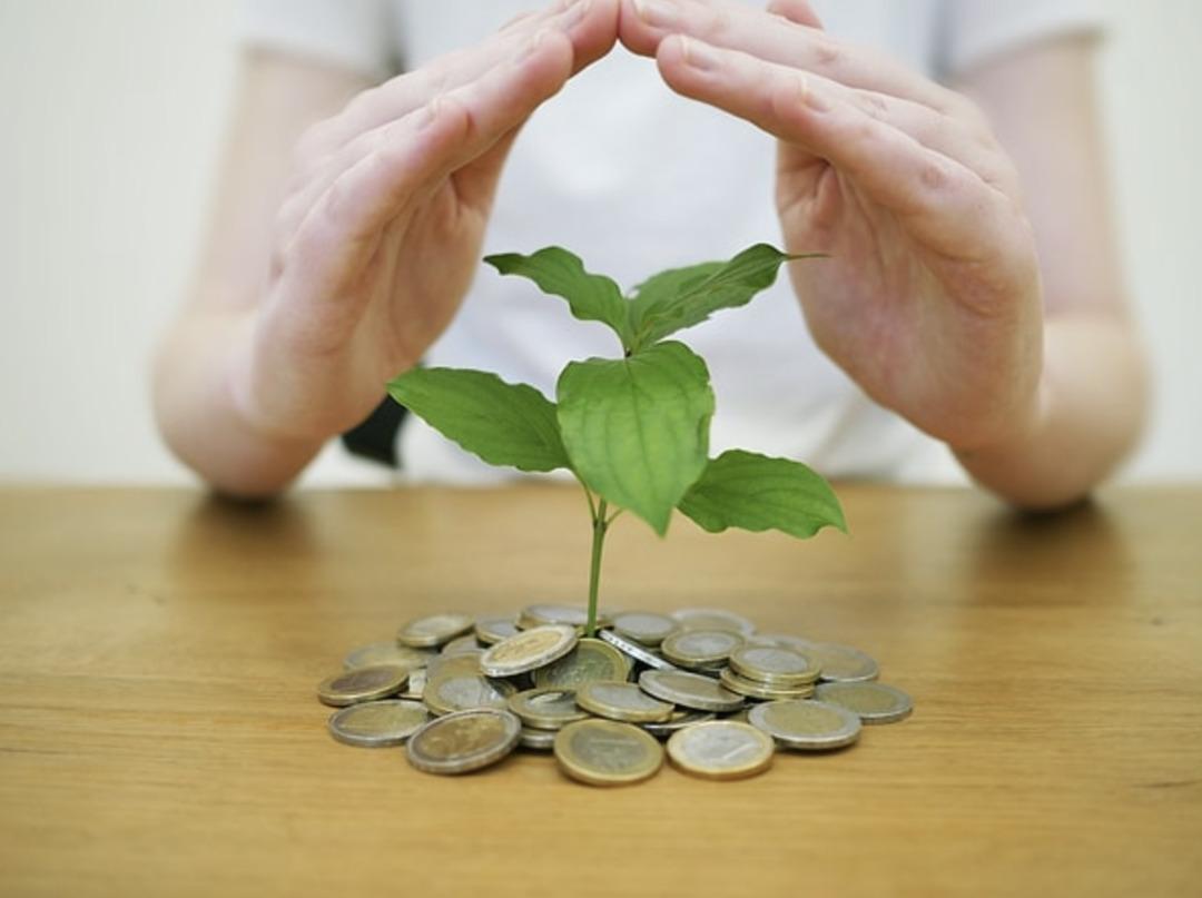 &ldquo;Paranın Bereketi&rdquo; Kavramının Modern Finanstaki Karşılığı: Verimlilik  2