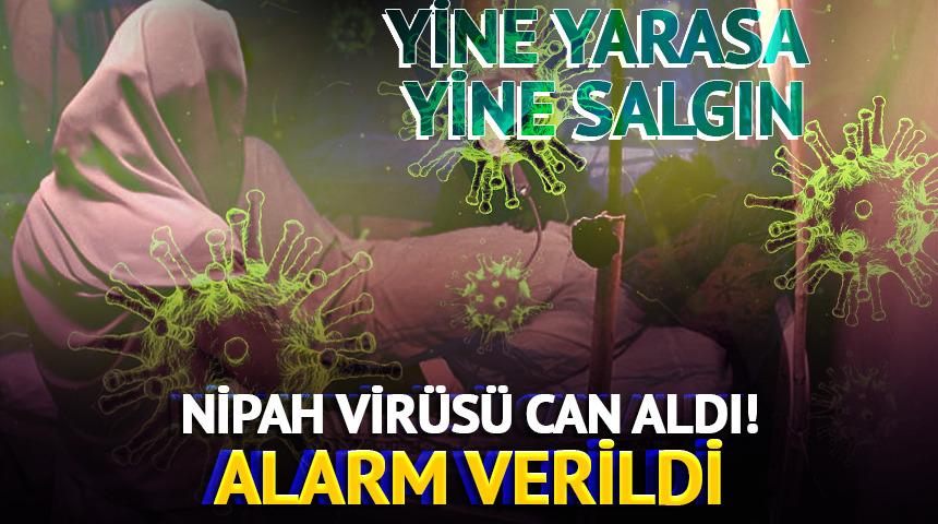 Nipah vir&uuml;s&uuml; can aldı! &Ouml;l&uuml;mc&uuml;l salgın i&ccedil;in alarm verildi
