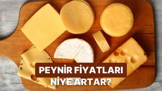 Döviz Kurlarındaki Oynaklık Marketteki Peyniri Neden ve Nasıl Etkiliyor?