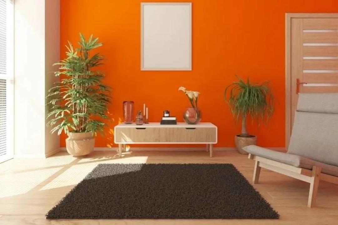 Evdeki Tadilat Yatırım mı Masraf mı? Hangi Yenileme Evin Değerini Artırır? 3