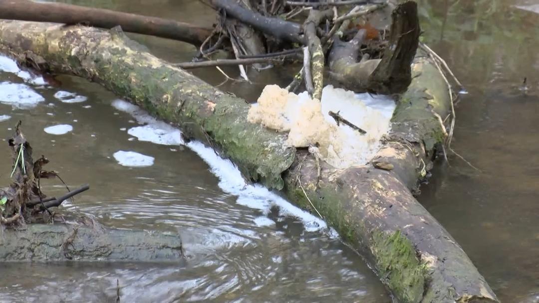 İstanbul un suyuna ne karıştı? Hayvan kanı bile olabilir! "16 milyon insanın i&ccedil;tiği suyu karşılıyor" 3